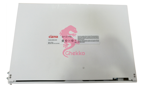 ghekko Ciena NTT810CJE5 provider